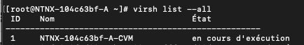 virsh list