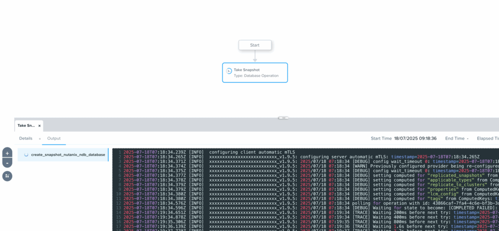 Runbook Execution